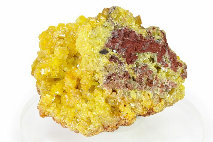 Yellow-Orange Pyromorphite Crystal Cluster - DR Congo #322611